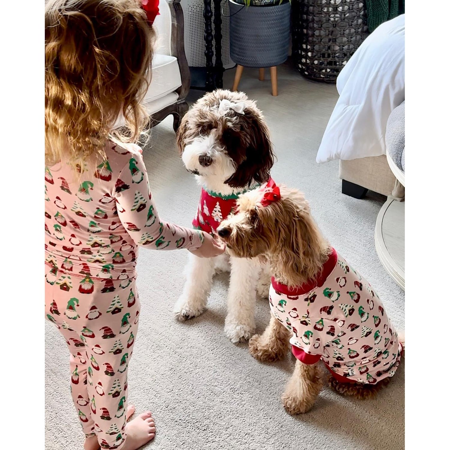 Print Dog Jammies in Baby Rose Gnomes (358901)