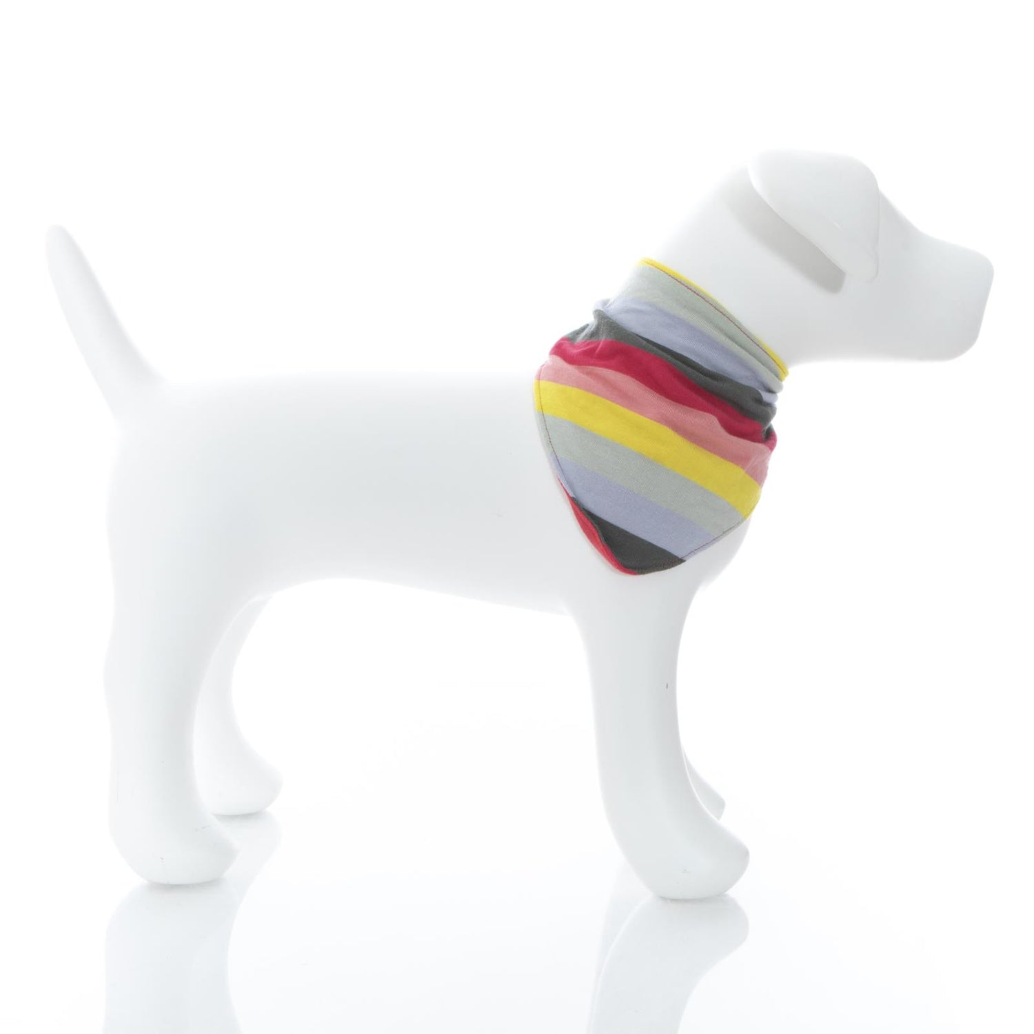 Print Dog Bandana in Biology Stripe