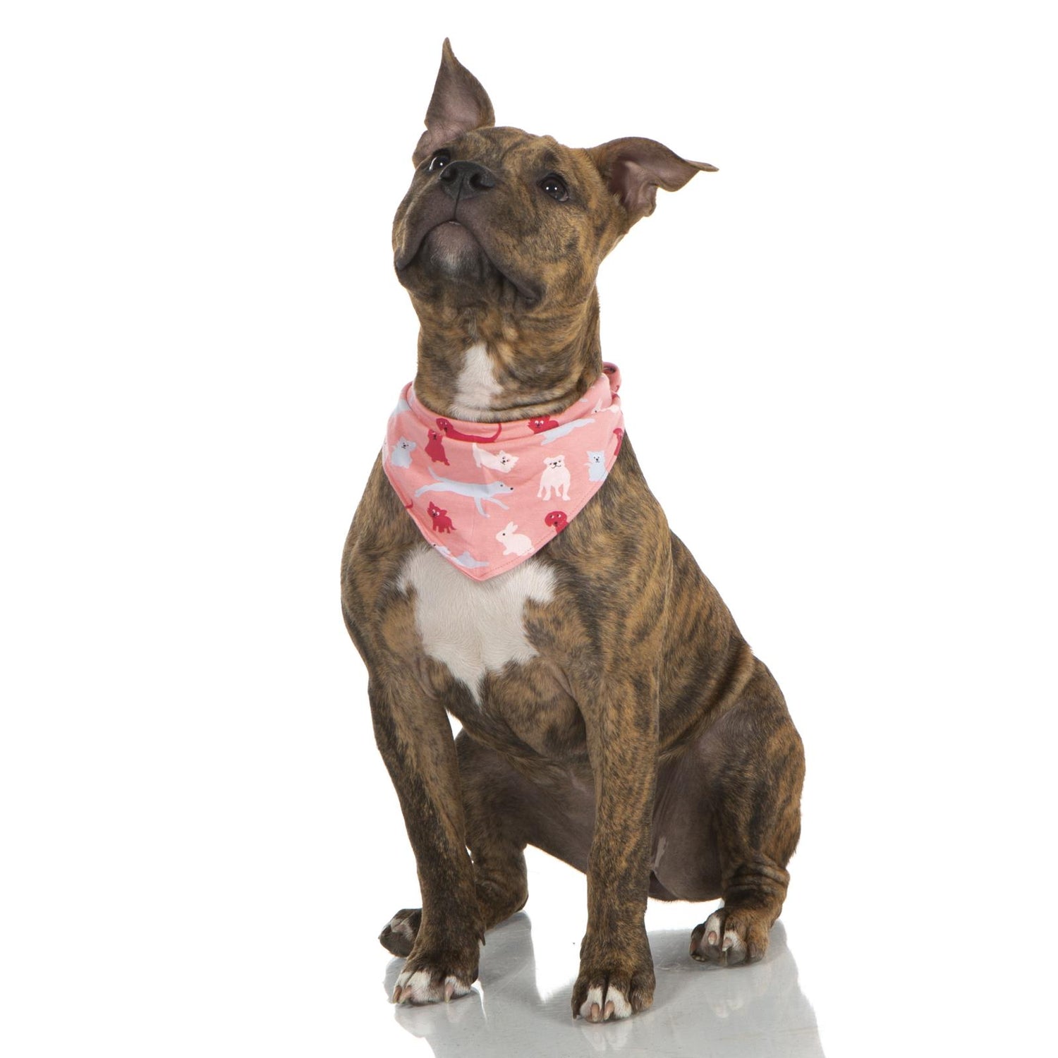 Print Dog Bandana in Strawberry Domestic Animals