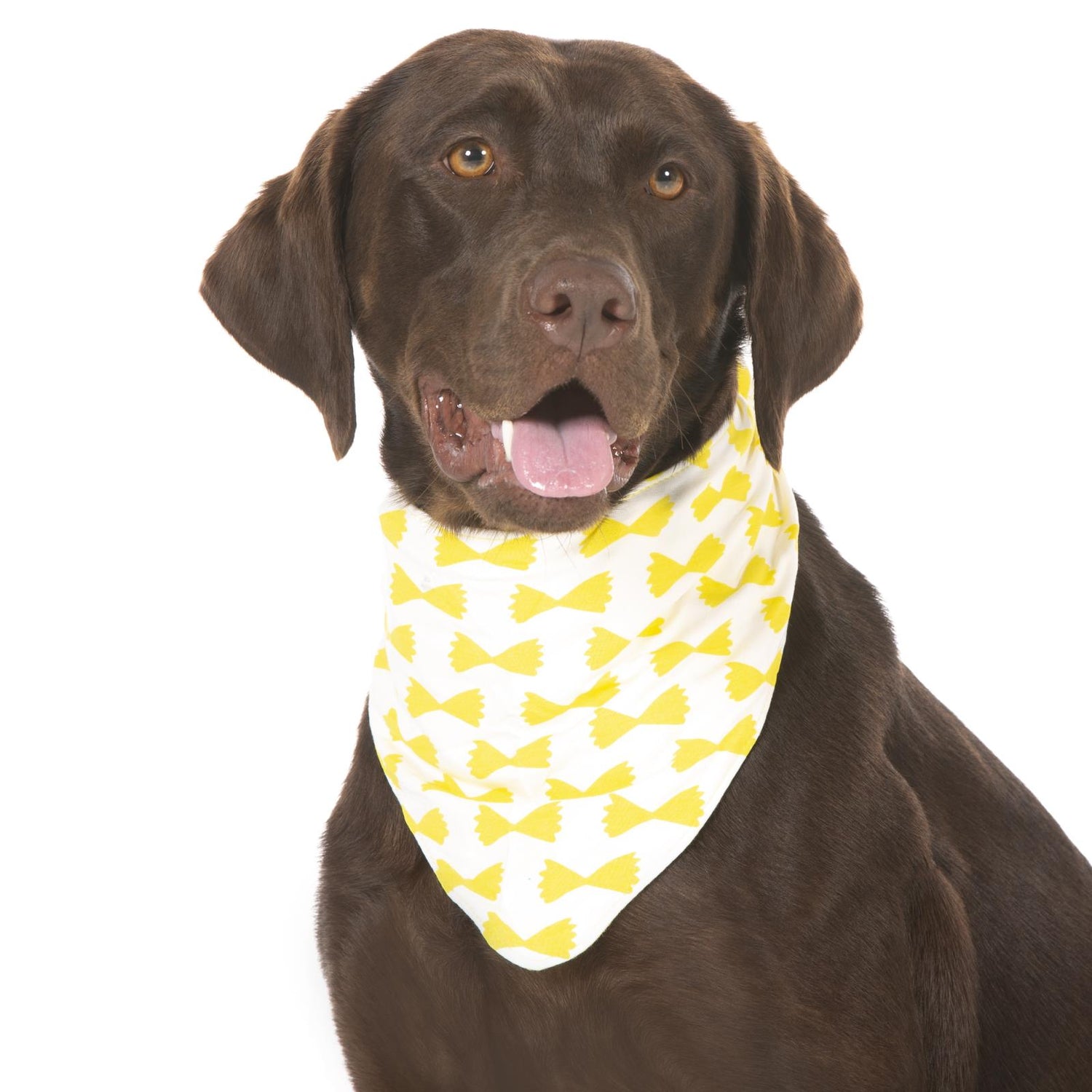 Print Dog Bandana in Natural Farfalle