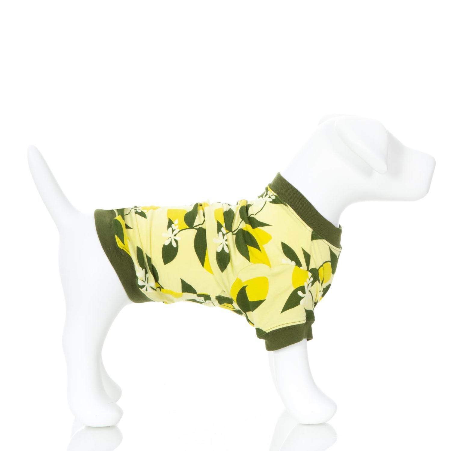 Print Dog Jammies in Lime Blossom Lemon Tree