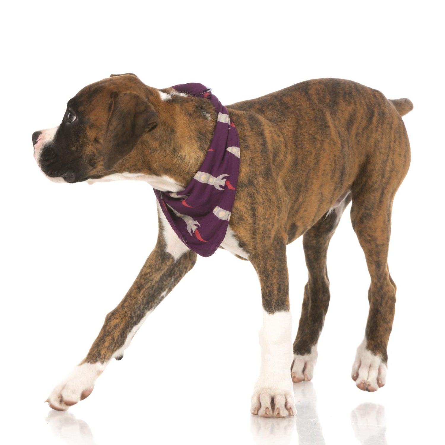 Print Dog Bandana in Wine Grapes Rockets