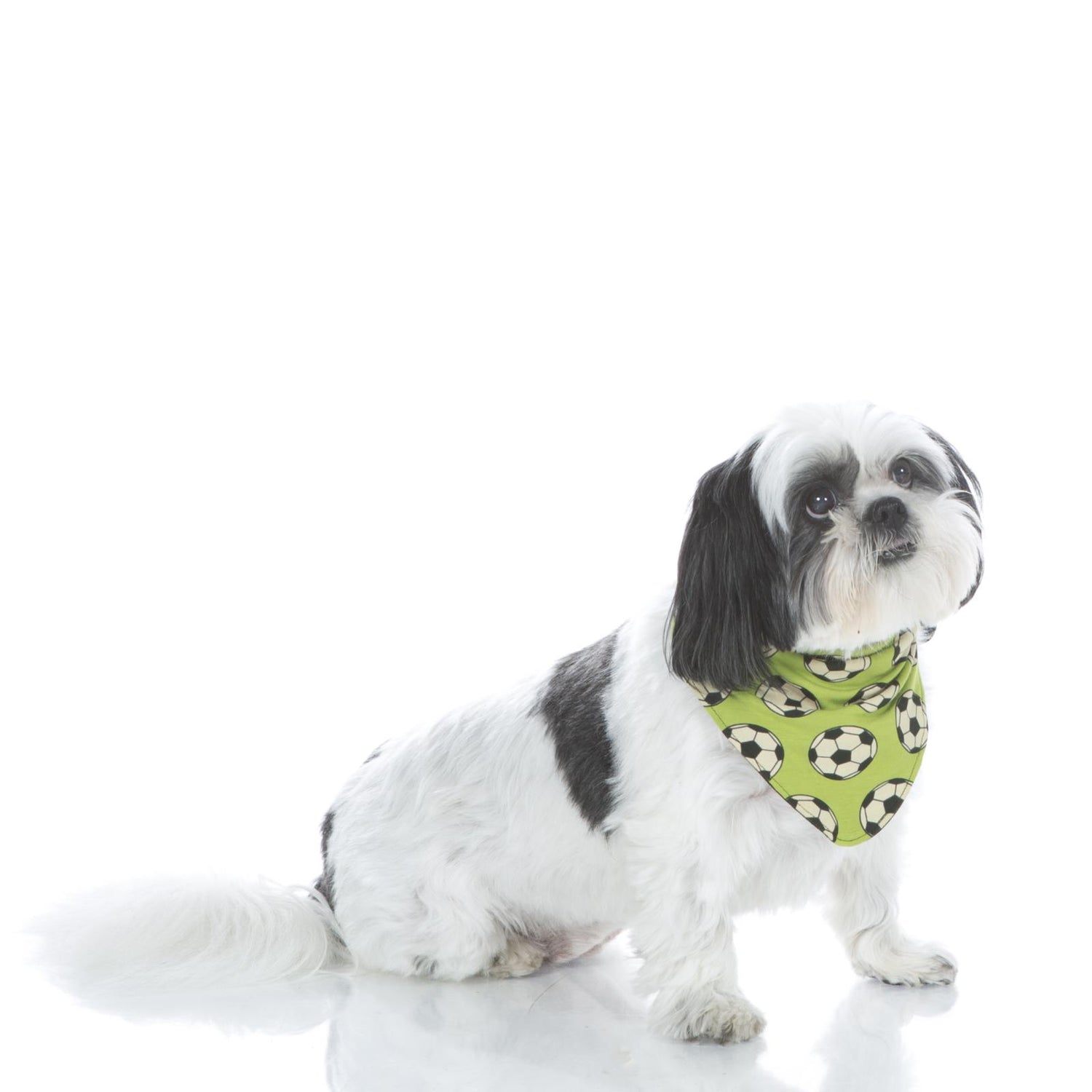 Print Dog Bandana in Meadow Soccer