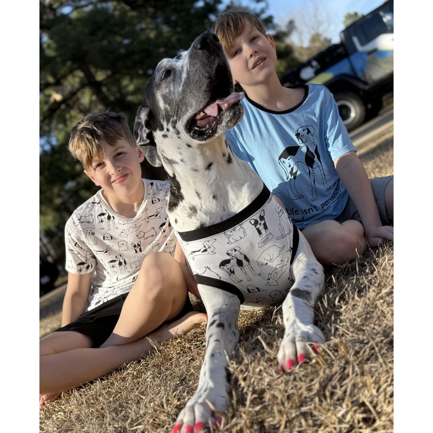 Print Short Sleeve Crew Neck Tee and Lightweight Drawstring Shorts Set in Natural Dogs (361307)