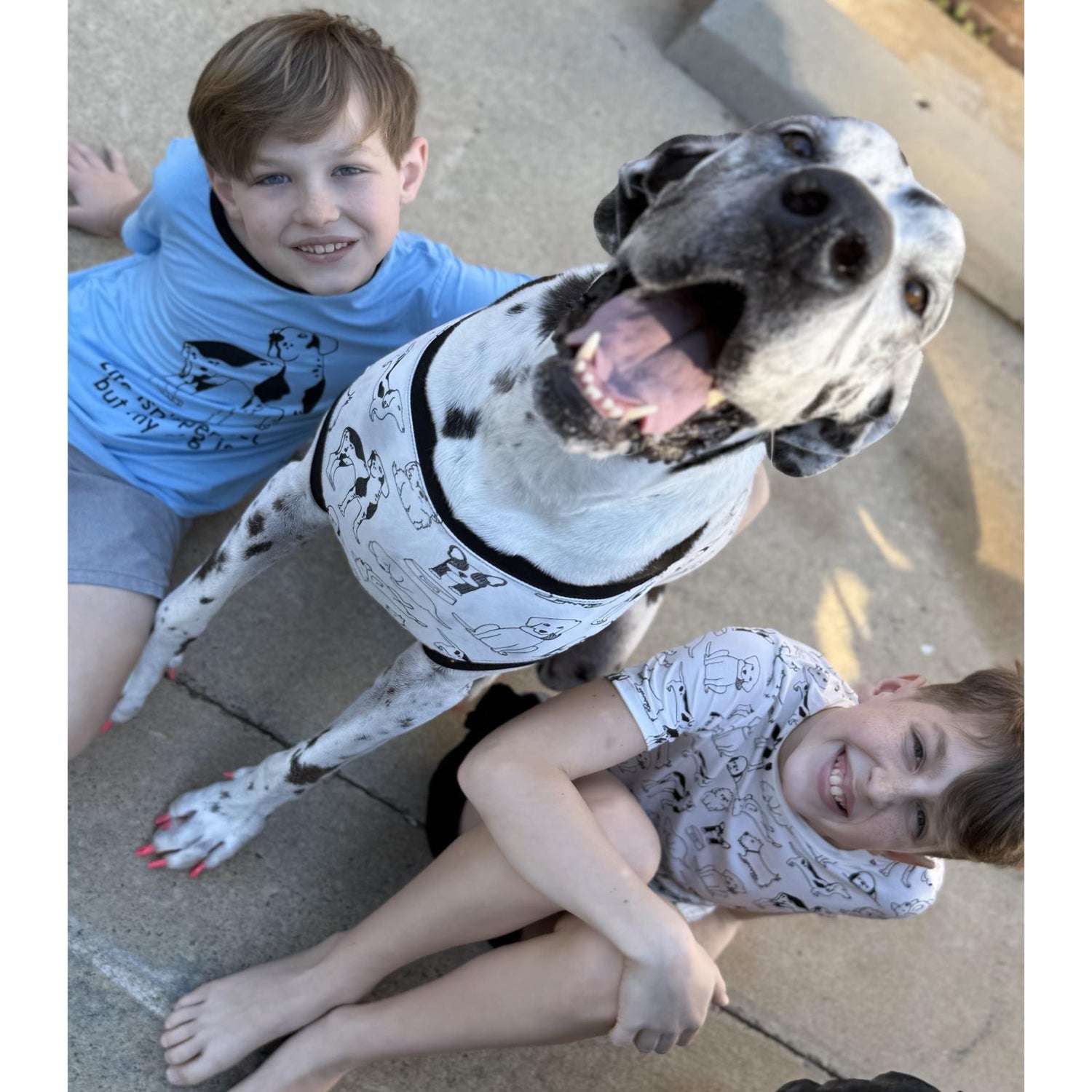 Print Short Sleeve Crew Neck Tee and Lightweight Drawstring Shorts Set in Natural Dogs (361308)