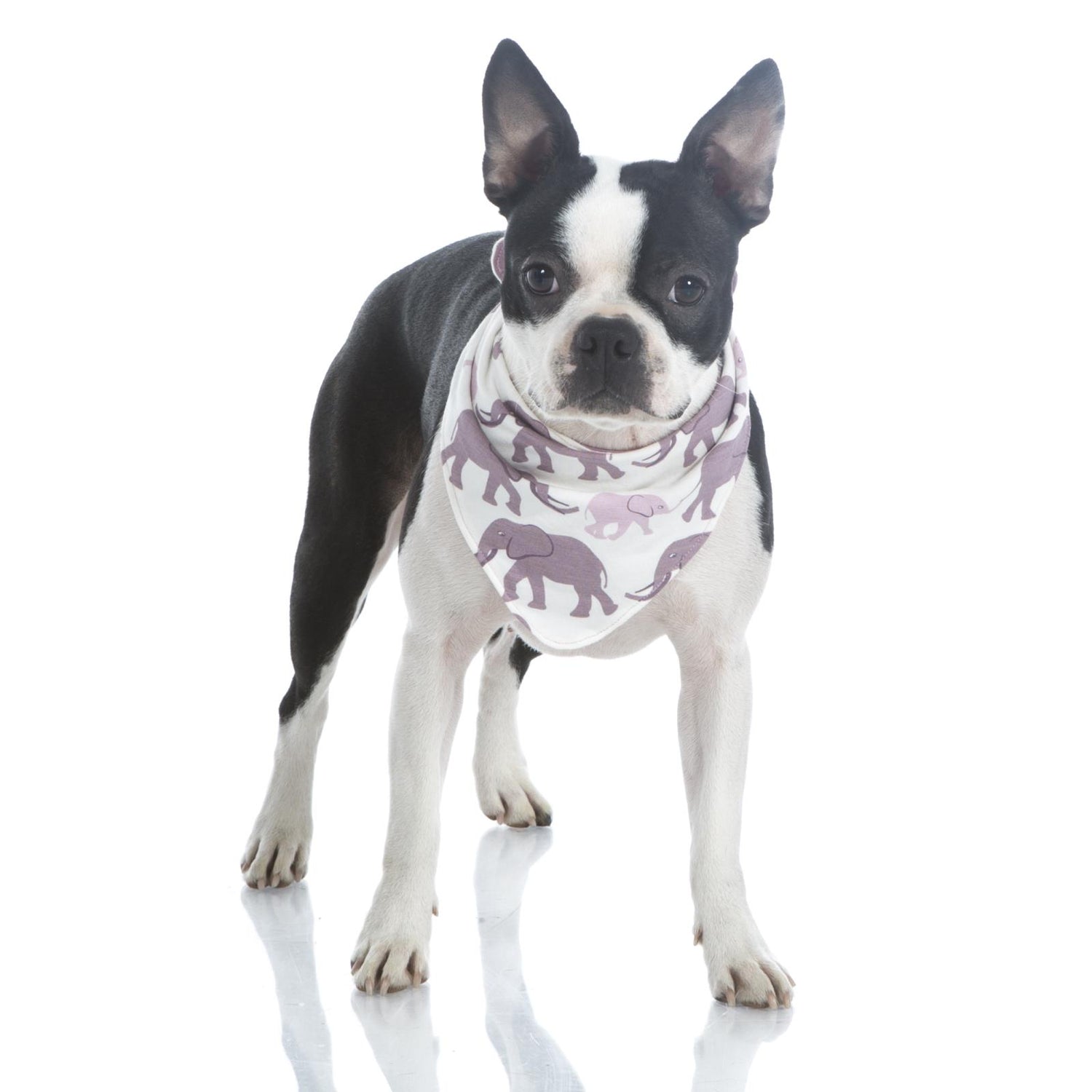 Print Dog Bandana in Natural Elephant