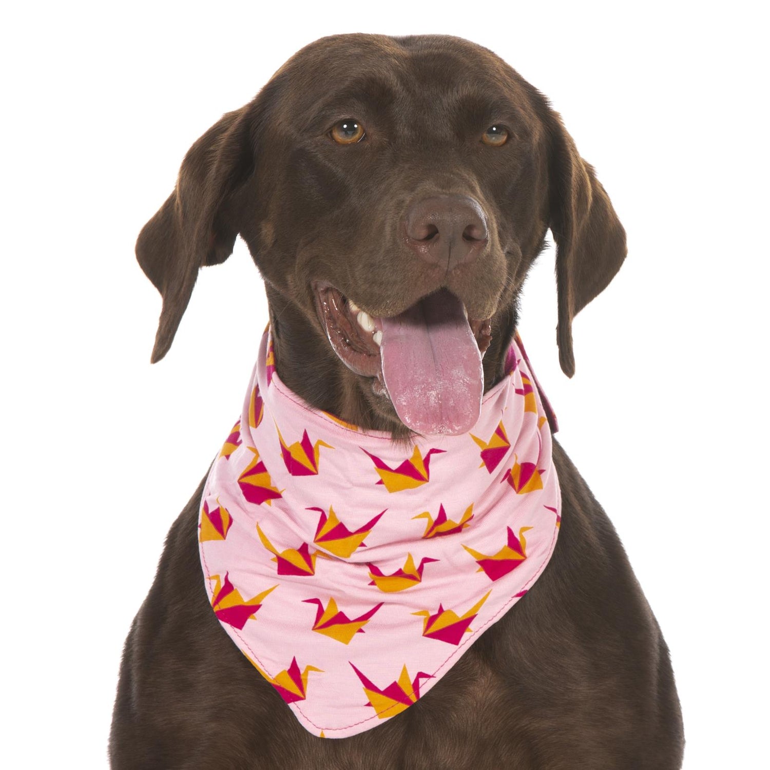 Print Dog Bandana in Lotus Origami Crane