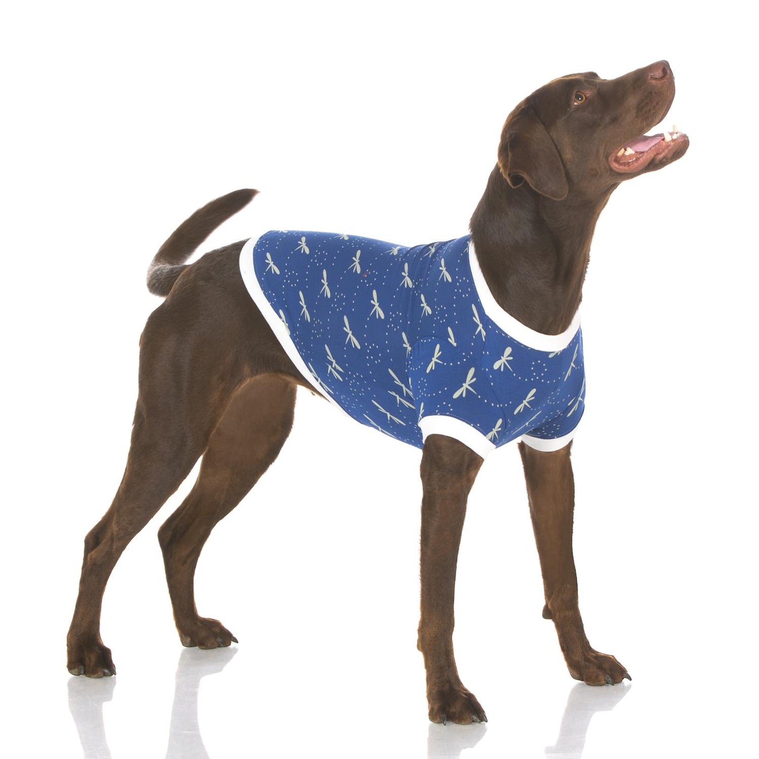 Print Dog Jammies in Navy Dragonfly