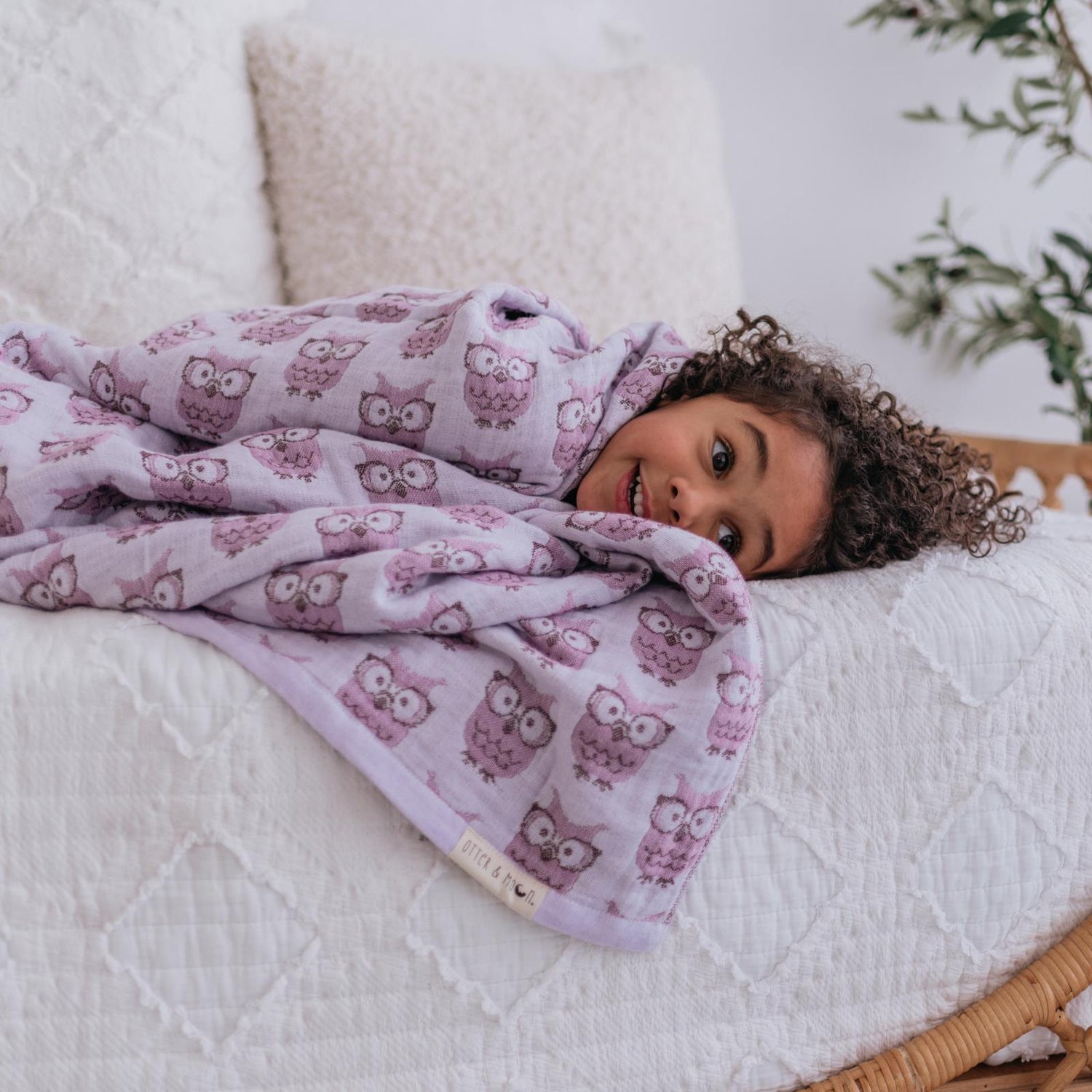 Soft Spun Cotton Jacquard Muslin Blanket 40 x 60 in Wisteria/Lavender Mist Wise Owls (360488)