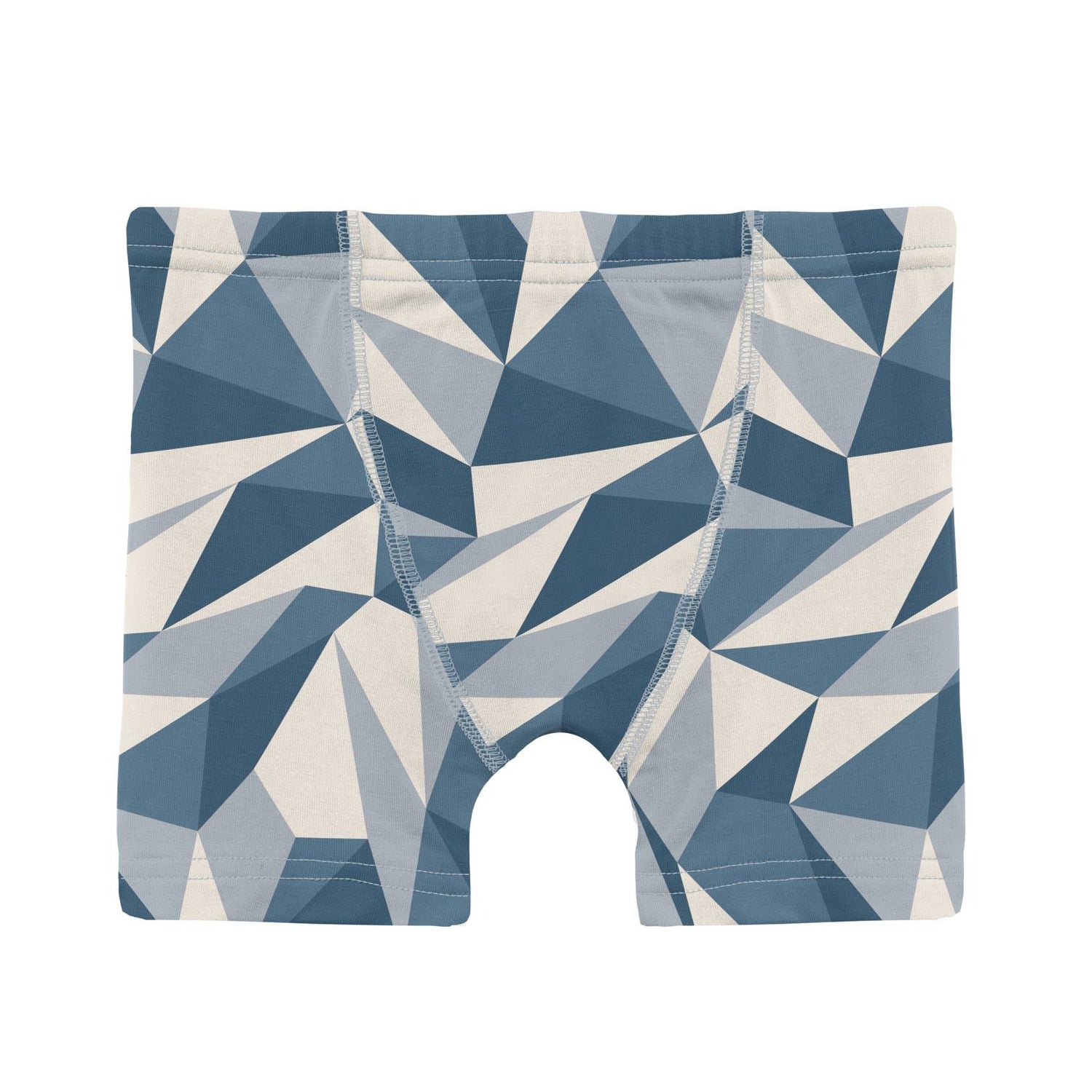 Print Boy's Boxer Brief in Winter Ice