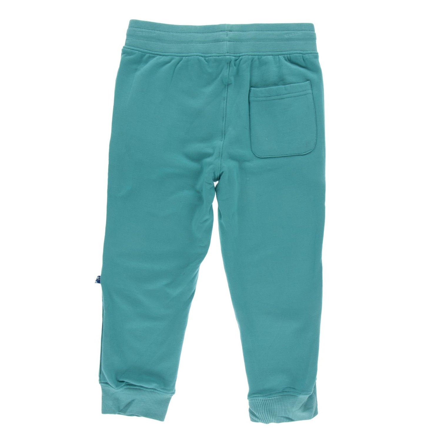 Fleece Joggers in Neptune