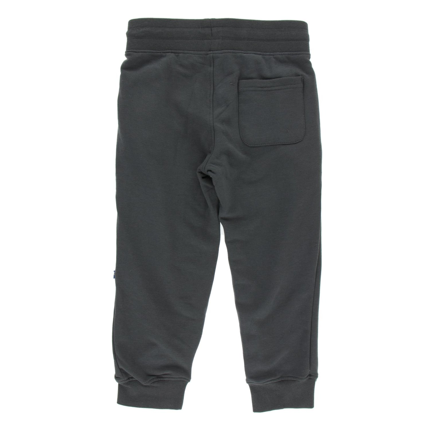 Fleece Joggers in Pewter