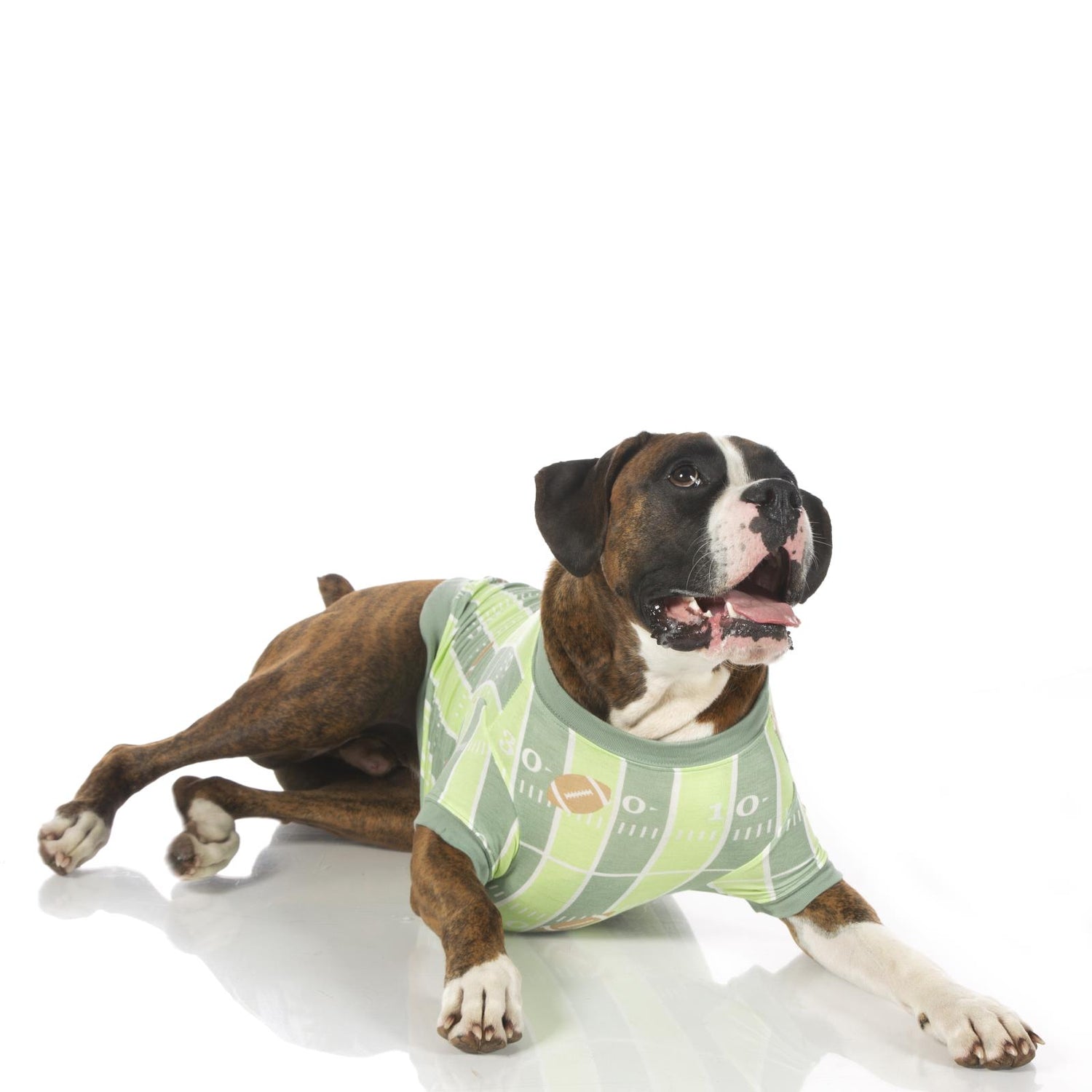 Print Dog Tee in Football