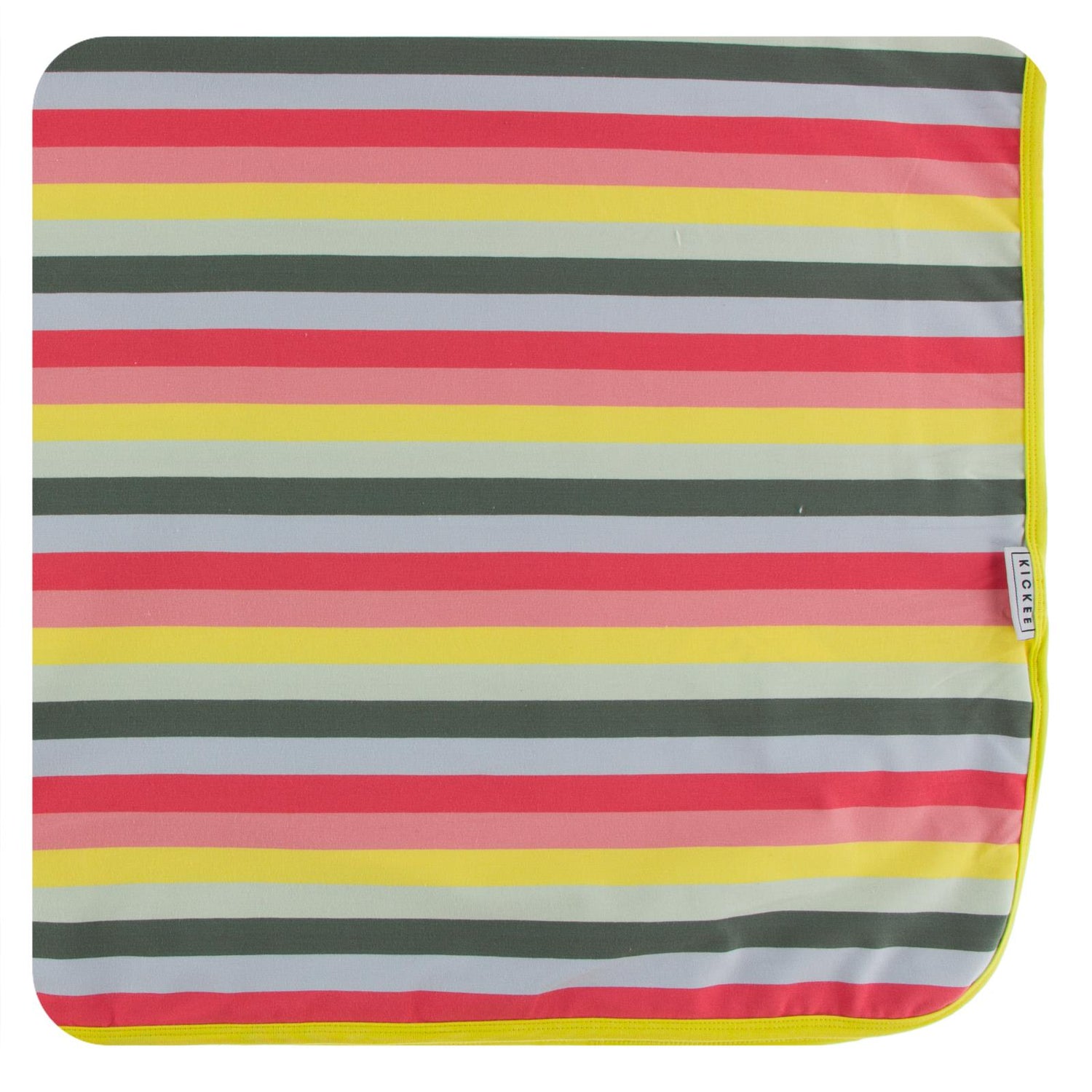 Print Single Layer Luxe Toddler Blanket in Biology Stripe