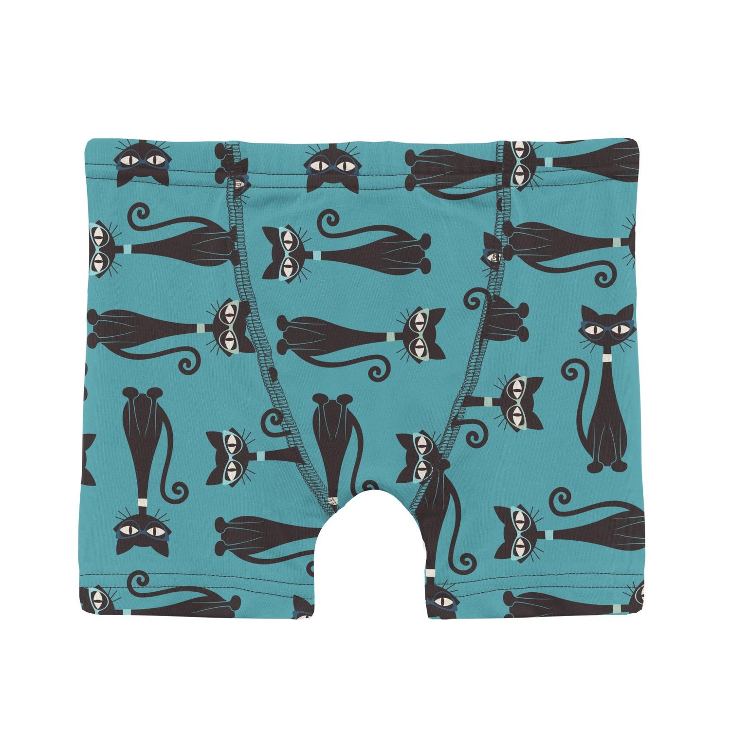 Print Boy's Boxer Brief in Glacier Cool Cats