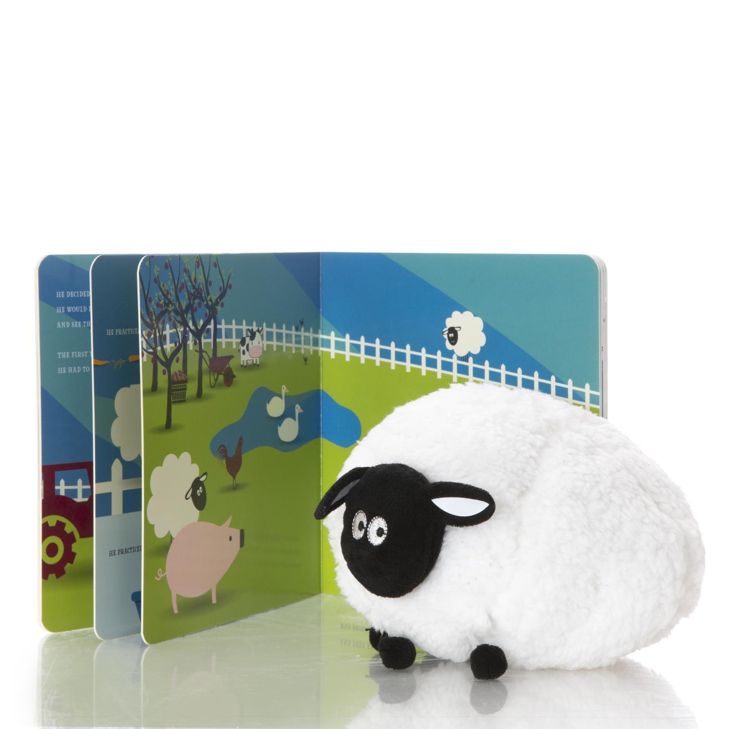 Book: The Extra Ordinary Sheep